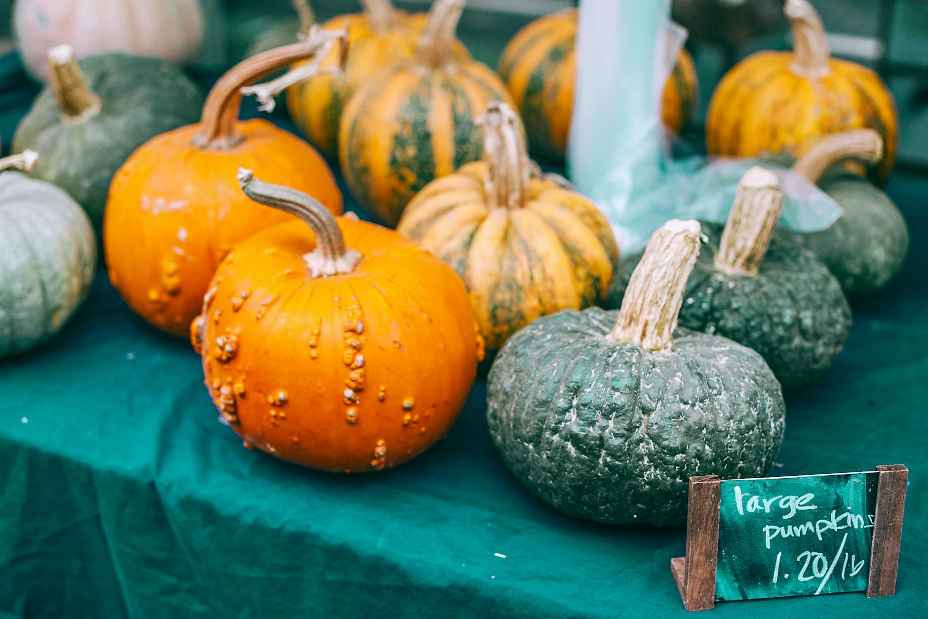 assorted fresh pumpkins on counter in market